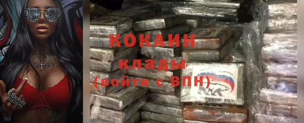 дживик Гусь-Хрустальный