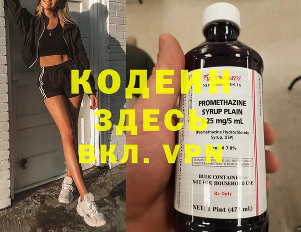 дживик Гусь-Хрустальный