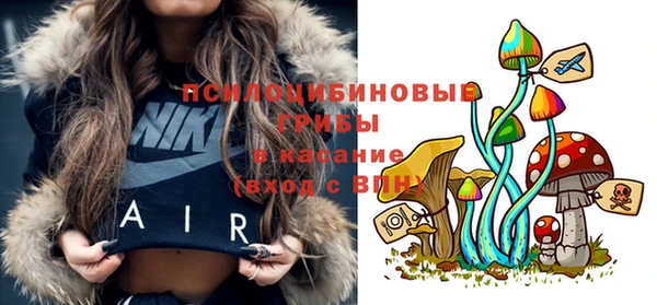 COCAINE Гусиноозёрск
