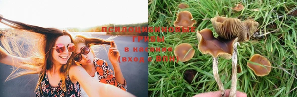 первитин Дмитриев