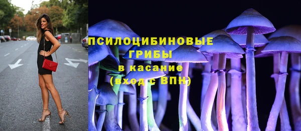 дживик Гусь-Хрустальный